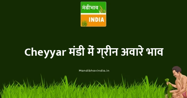 Green Avare (W) भाव